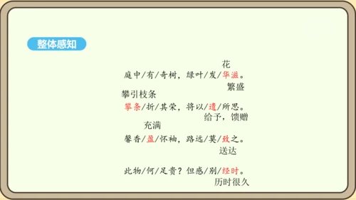八年级语文上册第三单元课外古诗词诵读 庭中有奇树 课件