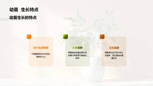 揭秘植物生长奇观