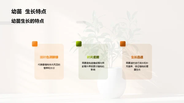 揭秘植物生长奇观
