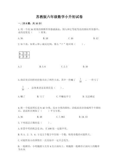 苏教版六年级数学小升初试卷精品【巩固】.docx