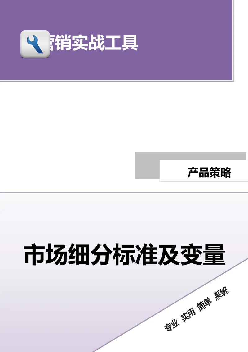 市场细分标准及变量.doc.docx