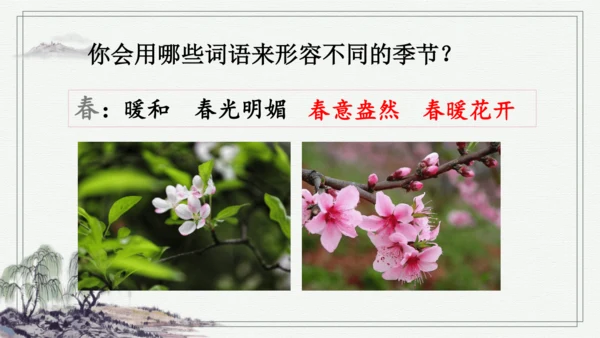部编版三年级上册语文 语文园地二 课件