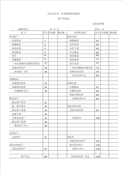 社会团体财务报表