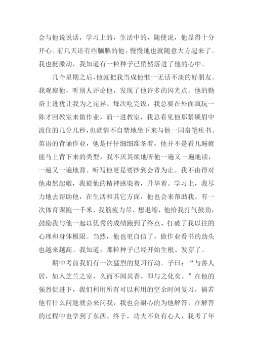 友谊之花作文800字.docx
