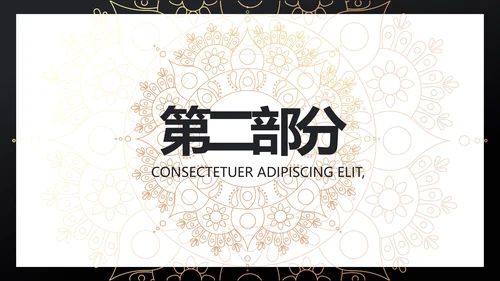 黑金高端大气金融产品介绍动态PPT模板