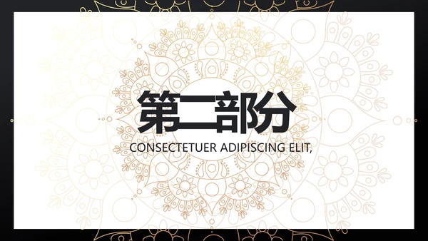 黑金高端大气金融产品介绍动态PPT模板