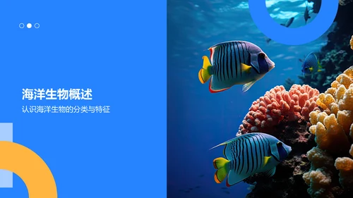 蓝色摄影风海洋生物知识科普PPT模板
