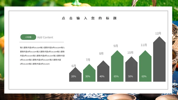 果蔬农产品工作总结农户农业通用PPT模板