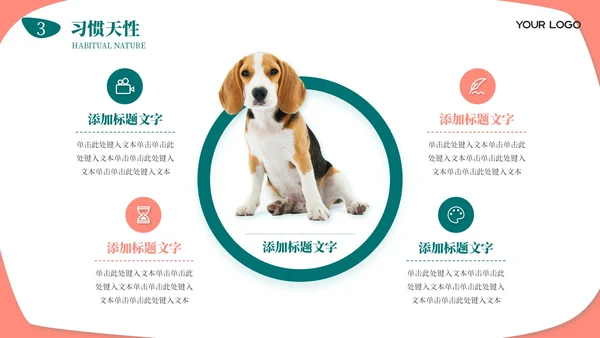 莫兰迪色卡通风宠物饲养心得经验分享PPT模板