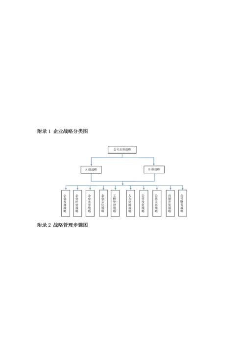 战略实施管理标准规定.docx