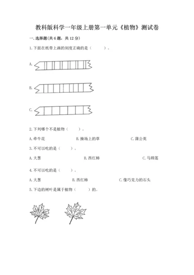 教科版科学一年级上册第一单元《植物》测试卷带答案（满分必刷）.docx