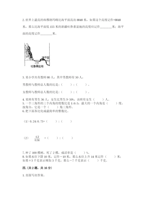 河南省平顶山市六年级下册数学期末测试卷完整参考答案.docx