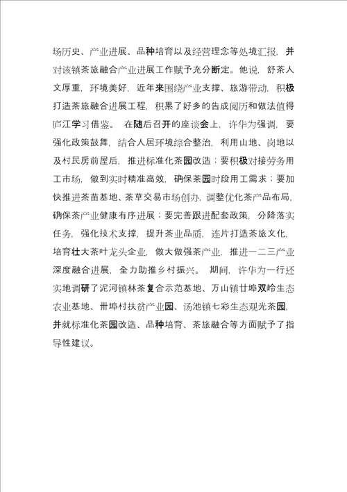 许华为实地调研考察茶产业发展工作许华为