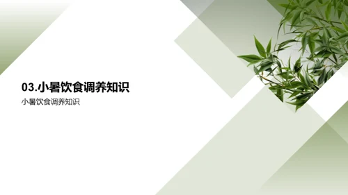 小暑季节健康之道