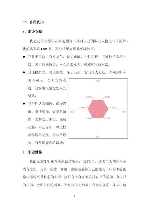 11页3400字大数据与会计专业职业生涯规划.docx