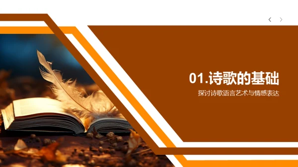 诗歌的奥秘探索