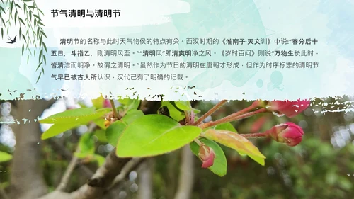 清明节起源习俗文化介绍通用PPT模板