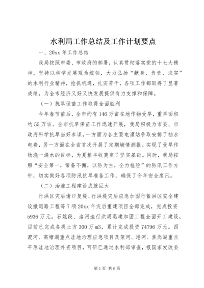 水利局工作总结及工作计划要点.docx