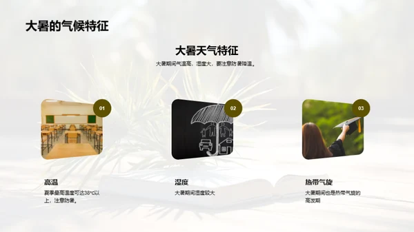 大暑生活指南