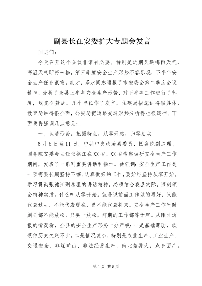 副县长在安委扩大专题会发言.docx