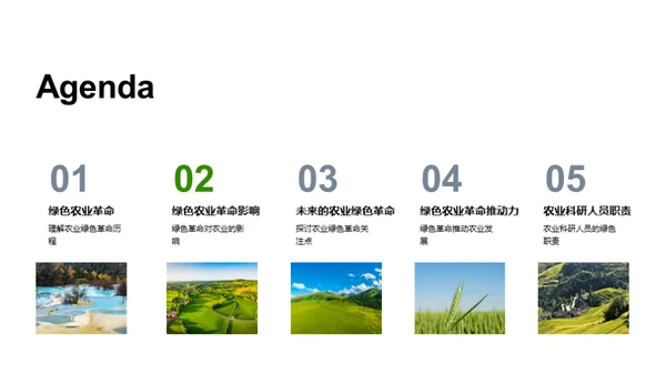 迈向绿色农业