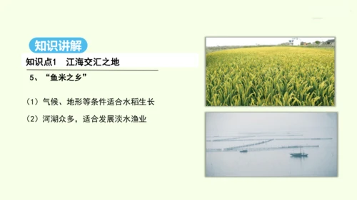 7.2 “鱼米之乡”——长江三角洲地区（课件32张） -人教版地理八年级下册