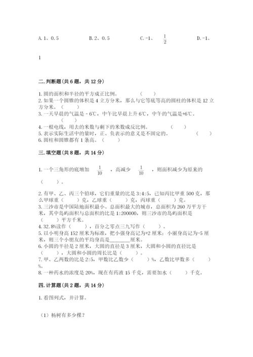 玉林市小升初数学测试卷汇编.docx