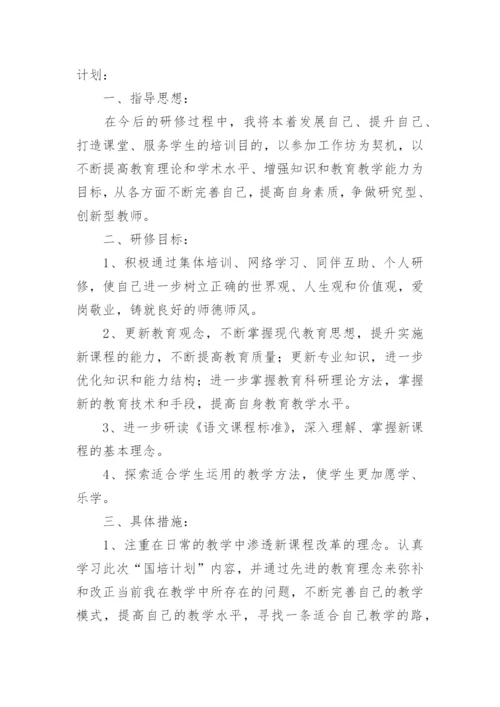 高中教师个人研修计划.docx