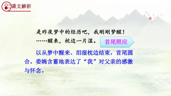 第19课《父爱之舟》（课件）