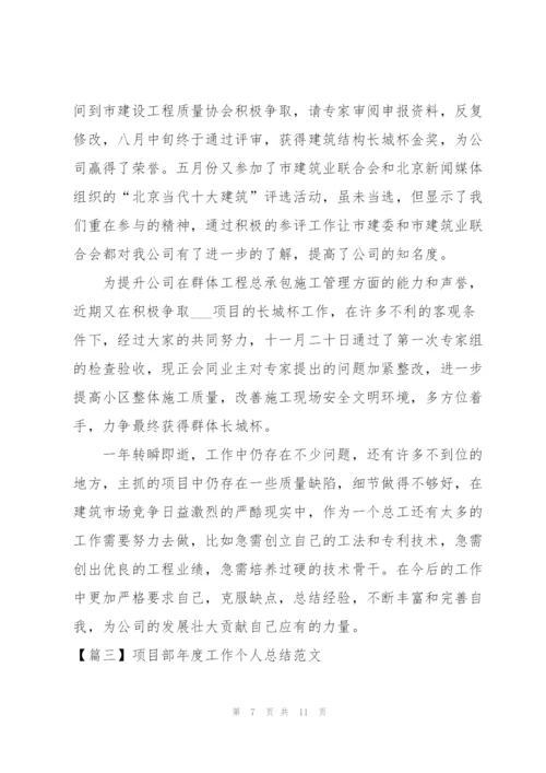 项目部年度工作个人总结范文.docx