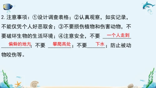 1.1《认识生物》复习课件(18张PPT)