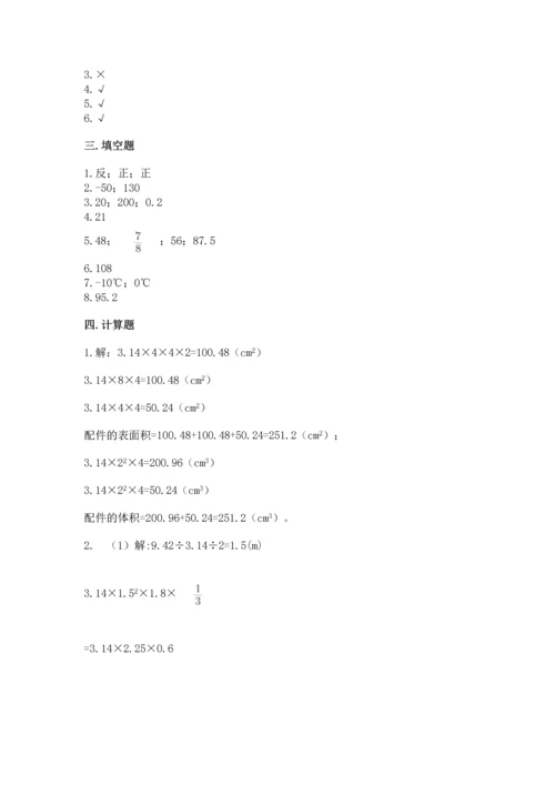 人教版六年级下册数学期末测试卷及参考答案【精练】.docx