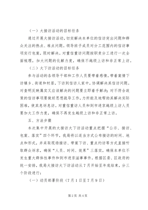 领导大接访大下访活动实施方案 (2).docx