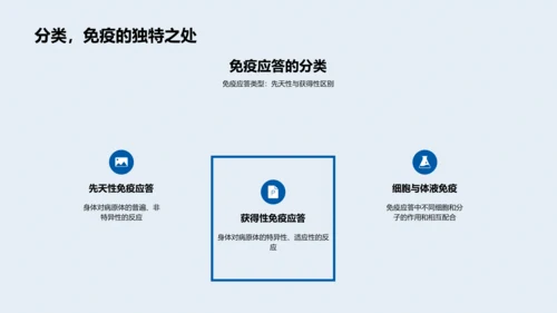 免疫系统概述PPT模板