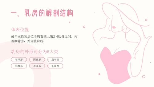粉色插画简约商务乳房护理乳腺护理培训PPT模板