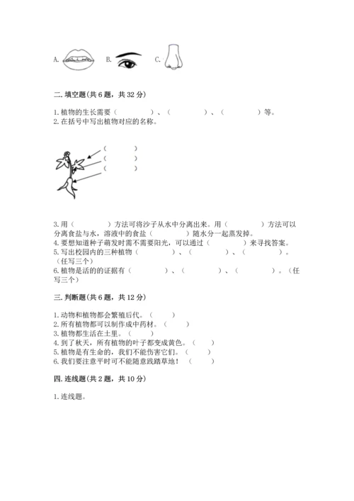 教科版科学一年级上册第一单元《植物》测试卷及参考答案【模拟题】.docx
