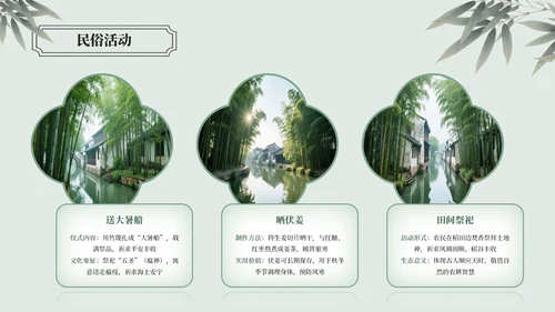 绿色中国风大暑节气介绍通用模板