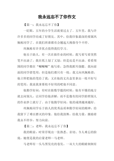 我永远忘不了你作文.docx