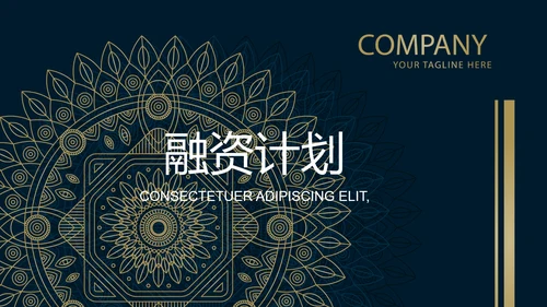 霸气高端大气创业融资计划书动态PPT模板