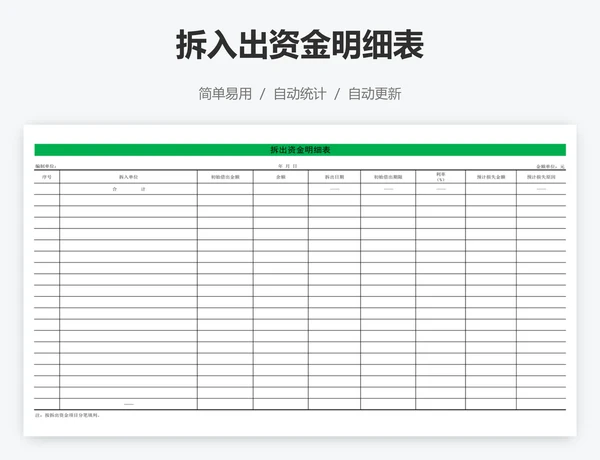 拆入出资金明细表