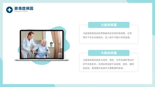 脓毒血症护理查房医疗科技通用商务绿色PPT模板