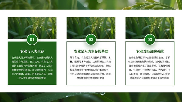 绿色商务农业发展通用PPT模板