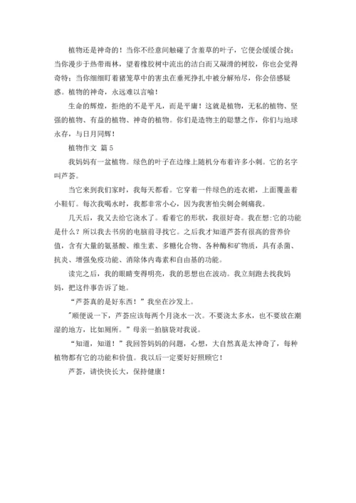 有关植物作文锦集5篇.docx