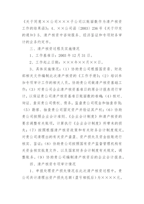 专项审计报告_12.docx