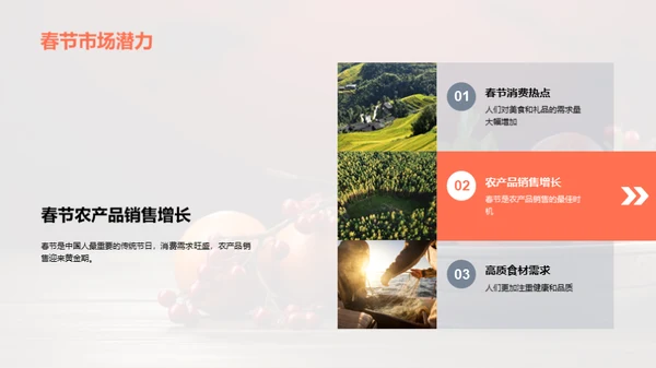 农产品春节销售策略