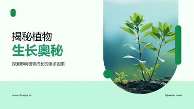 揭秘植物生长奥秘