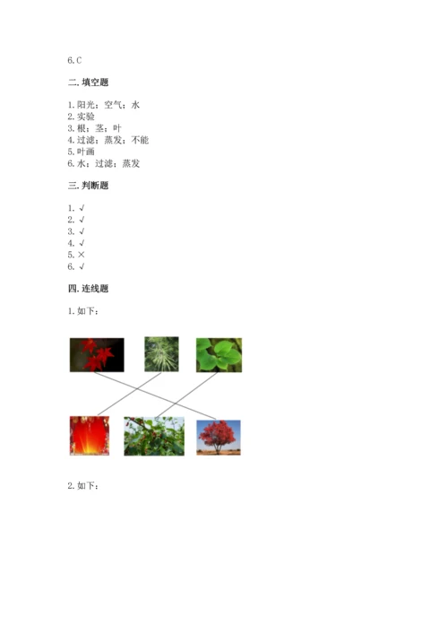 教科版科学一年级上册第一单元《植物》测试卷附完整答案【考点梳理】.docx