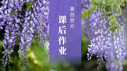 实拍风紫藤萝瀑布七年级语文课件PPT模板