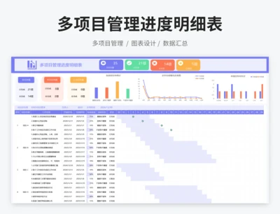 多项目管理进度明细表