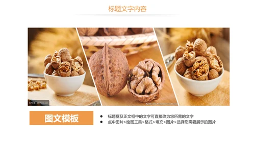 休闲美食美味坚果干果核桃宣传PPT模板